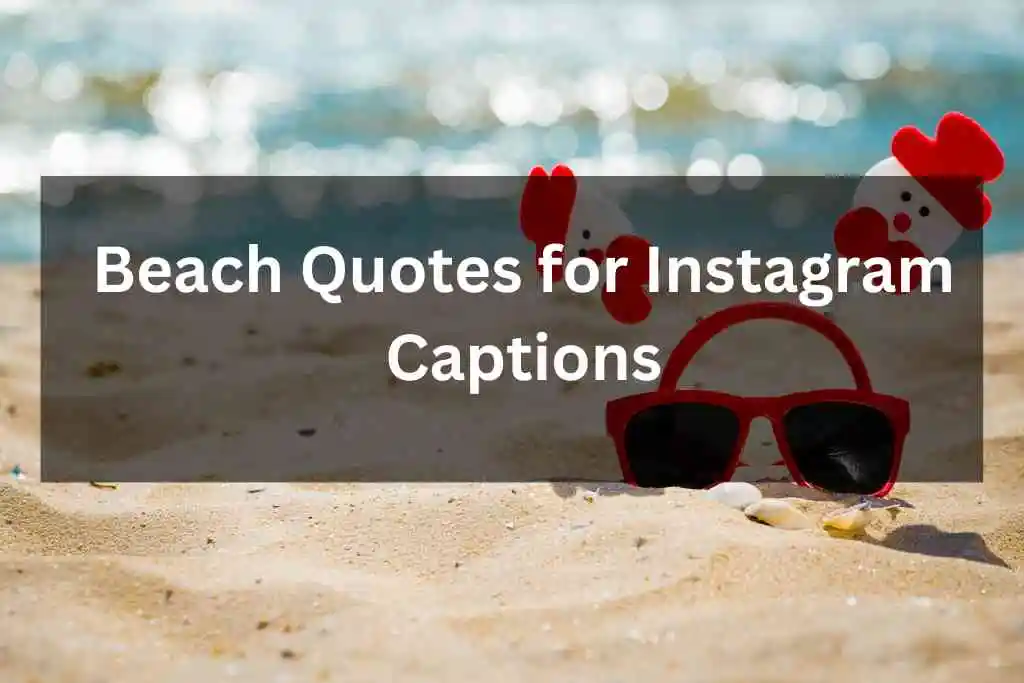 Beach Quotes for Instagram Captions
