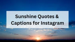 Sunshine Quotes & Captions for Instagram