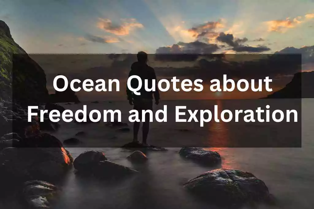 Ocean Quotes about Freedom and Exploration