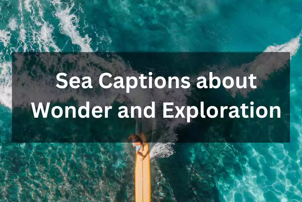 Sea Captions about Wonder and Exploration