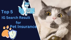 Top-5-IG-Search-Result-for-Pet-Insurance