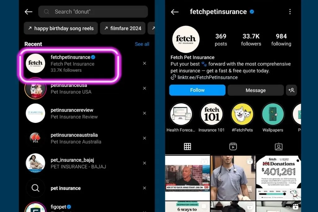 @fetchpetinsurance IG Profile Review
